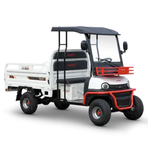 vip cargo 20260809 212121 1